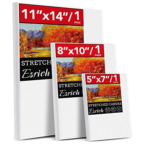 3 Pack Canvases for Painting with Multi Pack 11x14", 5x7", 8x10", Painting Canvas for Oil & Acrylic Paint ESRICH