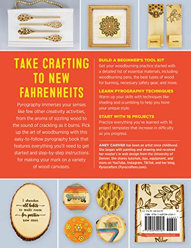 Step-by-Step Pyrography for Beginners WoodArtSupply