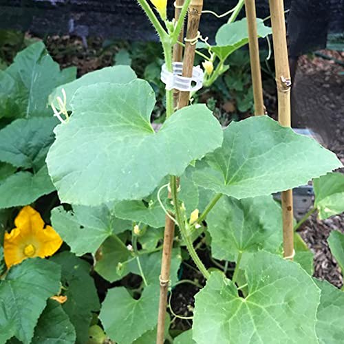 20 Pcs 18 Inch Natural Bamboo Plant Support Stakes for Indoor Plants, Bamboo Sticks Poles Garden Bamboo Stakes for Potted Plants, Tomato, Beans Yowlieu