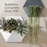 Krylon K05613007 COLORmaxx Acrylic Latex Brush On Paint for Indoor/Outdoor Use, ½ Pint, Satin Black Krylon