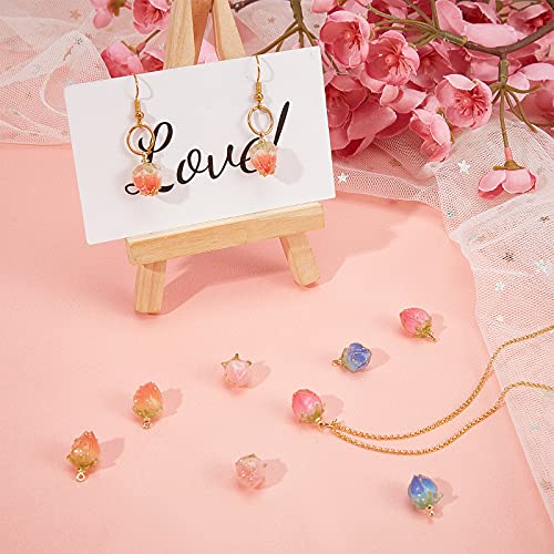 SUNNYCLUE 1 Box 10Pcs 5 Styles Dried Flower Charms Transparent Clear Epoxy Resin Pendants with Brass Hole 1.2mm Glass Micro Beads for DIY Earrings SUNNYCLUE