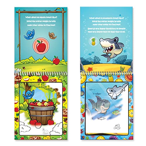 Scentco Water Magic - Scented Reusable Water Reveal Activity Books - No Mess, All Fun (Forest Friends and Ocean Friends) Scentco