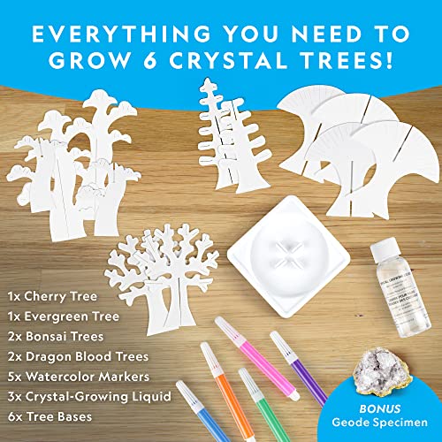 NATIONAL GEOGRAPHIC Craft Kits for Kids - Crystal Growing Kit, Grow 6 Crystal Trees in Just 6 Hours, Educational Craft Kit with Art Supplies, Geode - WoodArtSupply