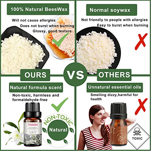 Haccah Complete Candle Making Kit,Candle Making Supplies,DIY Arts and Crafts Kits for Adults,Beginners,Kids Including Wax, Wicks, 6 Kinds of Haccah