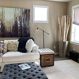 Wilson White Birch Decorative Poles - Natural Wood Bark Kiln Dried Home Décor, 7' L x 1.5-2.5" D (3 Poles) Wilson