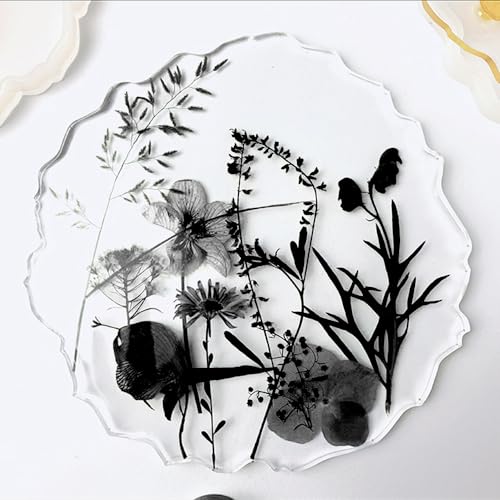 12 Types 48PCS Real Dried Pressed Flowers for Resin, Leaf Plant Herbarium for Jewelry Making Craft (Black and White)
