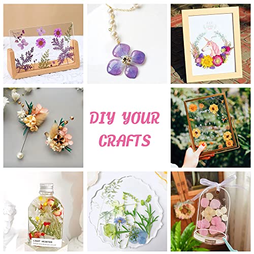 Blaflo 35+pcs Purple Flowers for Resin Model, Real Pressed Flowers Dry Leaves Bulk Natural Herbs Kit for Scrapbooking DIY Art Crafts, Epoxy Jewelry, Blaflo