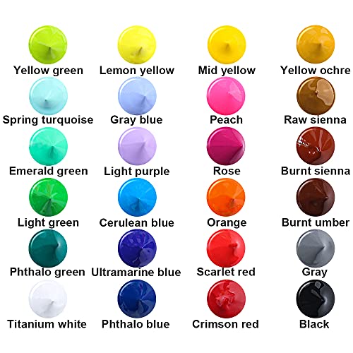 TRANSON Acrylic Paint Set 24-color with 12 Paint Brushes and Palette Non-toxic for Canvas Craft Rock Art Painting TRANSON
