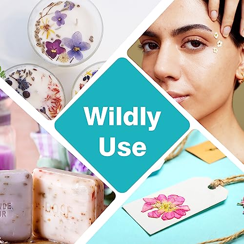 Resiners 100Pcs Dried Pressed Flowers for Resin Molds, Real Pressed Flowers Dry Leaves Kit for Art Crafts Resin Jewelry Making Scrapbook Supplies Resiners