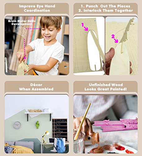 Puzzled Aircraft Carrier Puzzled