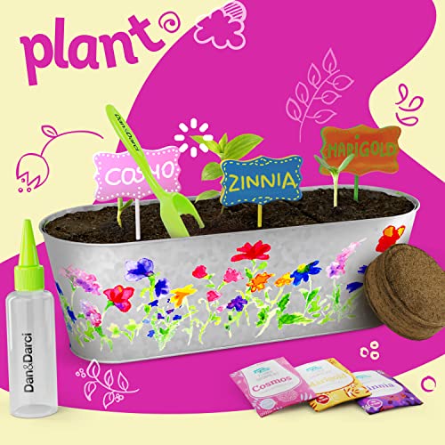 Paint & Plant Flower Growing Kit for Kids - Best Birthday Crafts Gifts for Girls & Boys Age 5 6 7 8-12 Year Old Girl Gift Ideas - Fun Children Dan&Darci