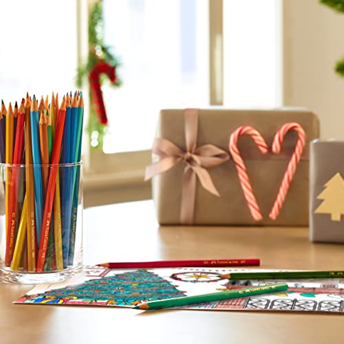 Faber-Castell Castle 120124 Colouring Pencils Set, 24 Pieces, Hexagonal, Shatterproof, for Children and Adults Faber-Castell