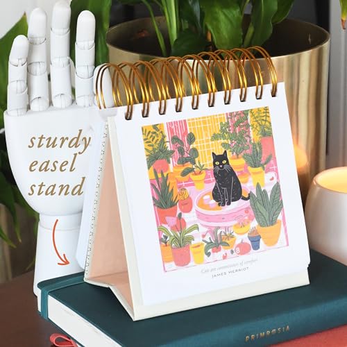 Primrosia Inspiring Perpetual Calendar: Undated Daily Desk Planner for Motivation - Flip Stand Design - Daily Inspirational & Empowering Quotes - Primrosia