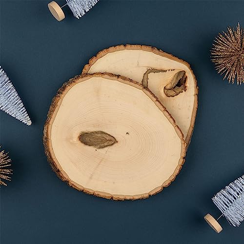 Walnut Hollow Rustic Basswood Round, Extra Large 12-14" Wide with Live Edge Wood (Pack of 6) - for Wood Burning, Home Décor, and Rustic Weddings - WoodArtSupply