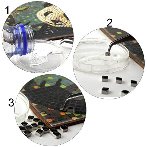 Handmade Mosaics Made Easy with Our Adult Mosaic Art Craft Kit, Square 7inch (20cm) Dolphin ALEA Mosaic