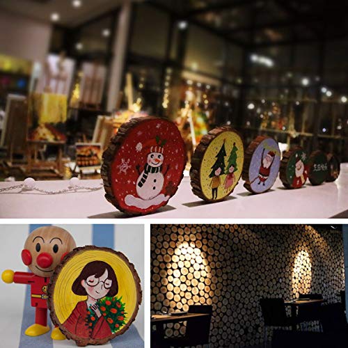 Natural Wood Slices 32 Pcs 2.4-2.8 Inches Unfinished Predrilled Blank Craft Wood Kit with Pre-drilled Hole Wooden Circles for Crafts Christmas MSDADA
