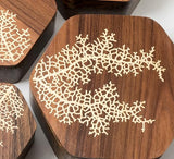 Proflex Red Rose Plywood 6pcs, 1/8" x 12” x 12” Real Wood Plywood Sheets Premium “A” Grade with Smooth Sanded Finish, Perfect for Laser Cutting & PRO FLEX