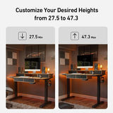 FEZIBO 55 x 24 Electric Standing Desk Adjustable Height with 4 Drawers, Sit Stand Desk with Storage Shelf, Rising Desk with Splice Board, Black FEZIBO