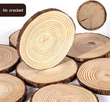 8Pack 6"-7" Round Rustic Woods Slices Unfinished Wood Great for Weddings Centerpieces Craft TAI JI