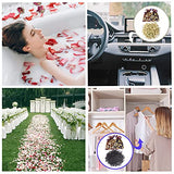 30 Bags Dried Flowers,100% Natural Dried Flowers Herbs Kit for Soap Making, DIY Candle Making,Bath - Include Rose Petals,Lavender,Don't Forget SACATR