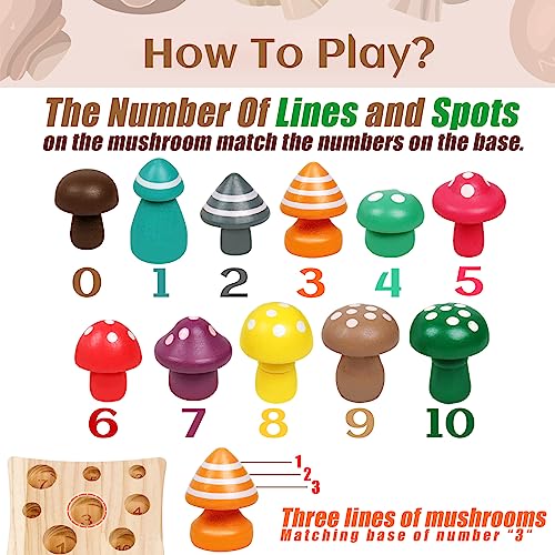 NAODONGLI Wooden Montessori Toys for Toddler,Educational Toys for 3 Year Old,STEM Toys Mushroom Harvest Game,Learing Shape Sorting & Number NAODONGLI