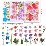 160pcs Dried Pressed Flowers for Resin, Real Pressed Flowers Dry Leaves Bulk Natural Herbs Kit for Scrapbooking DIY Art Crafts, Epoxy Resin Jewelry, MUCBAFLY