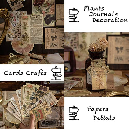 Maxleaf Vintage Time Collection Material Pack - 240PCS Vintage Plants Flowers Newspapers Maps Foods Collection Material Pack for Planners Scrapbook - WoodArtSupply