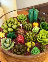 Mafuke 9 Pack Succulent Silicone Mold,Flower Resin Mold,Silicone Candle Molds.3D Cacti Candle Mold Silicone for Scented Candles Soaps Making, Wax, Navani
