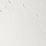 Winsor & Newton Griffin Alkyd Fast Drying Oil Paint, 200ml (6.75-oz) tube, Titanium White Winsor & Newton