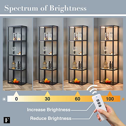 FENLO Fantasy Plus 66" Luxury Glass Display Shelf with Dimmable LED Floor Lamps, Sturdy Curio Cabinet with Bookcase Display Shelves for Bedroom, Open - WoodArtSupply