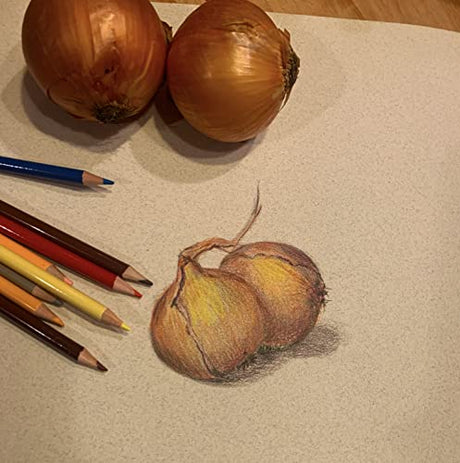 RoseArt Premium 72ct Colored Pencils – Art Supplies for Drawing, Sketching, Adult Colors, Soft Core Color Pencils 72 Pack, multi RoseArt