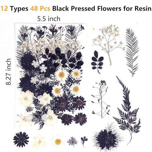 12 Types 48PCS Real Dried Pressed Flowers for Resin, Leaf Plant Herbarium for Jewelry Making Craft (Black and White)