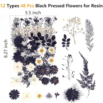 12 Types 48PCS Real Dried Pressed Flowers for Resin, Leaf Plant Herbarium for Jewelry Making Craft (Black and White)
