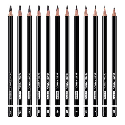 PANDAFLY Professional Drawing Sketching Pencil Set - 12 Pieces Graphite Pencils(14B - 2H), Ideal for Drawing Art, Sketching, Shading, Artist Pencils - WoodArtSupply