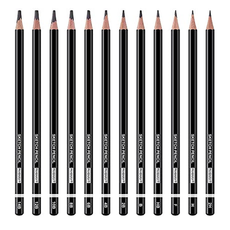 PANDAFLY Professional Drawing Sketching Pencil Set - 12 Pieces Graphite Pencils(14B - 2H), Ideal for Drawing Art, Sketching, Shading, Artist Pencils PANDAFLY