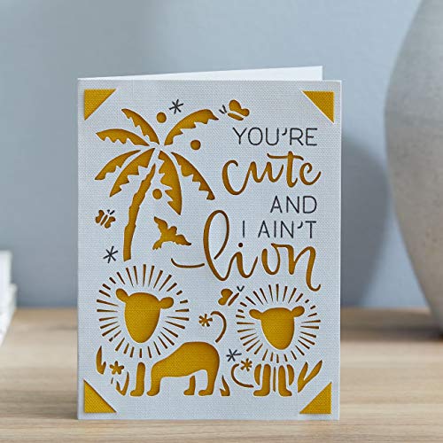 Cricut Insert Cards R10, Create Depth-Filled Birthday Cards, Thank You Cards,  Custom Greeting Cards at Home, Compatible with Cricut Joy/Maker/Explore  Machines, Princess Sampler (42 ct)
