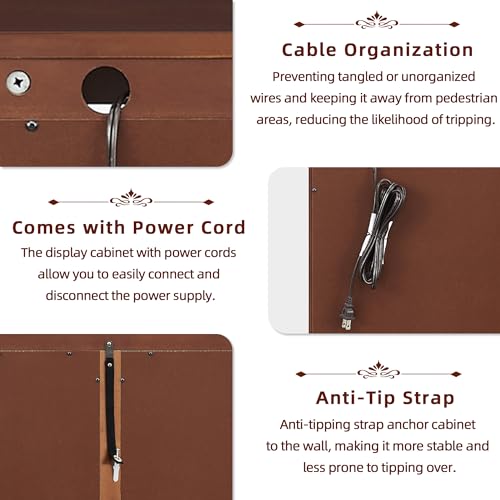 Dolonm Curio Cabinet with Tempered Glass Doors, Curio Cabinets with Mirrored Back Panel and Adjustable Shelves, Lighted Display Cabinet for Home, Dolonm