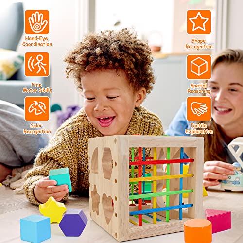 HELLOWOOD Montessori Toys for 1+ Year Old, Wooden Sorter Cube with 8pcs Rattling Shapes, Developmental Learning Toy Gifts for Baby Girls Boys 6-12-18 - WoodArtSupply