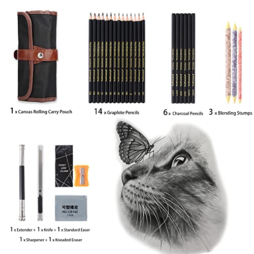 Heshengping Drawing Pencils Sketch Pencil Art Supplies Set for Kids Adults beginners Professional Sketching Art Graphite Charcoal Blending Stump Heshengping