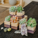Unfinished Wood Craft Cubes 1-1/2 inch, Pack of 24 Small Wooden Blocks to Decorate, Wooden Cubes for Crafts and Décor, by Woodpeckers Woodpeckers