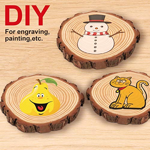 HOZEON 8 PCS 8-9 Inches Natural Wood Slices, Smooth Rustic Unfinished Wood Slices, Wood Slices for Crafts, Arts, Wedding Decoration, Christmas, HOZEON
