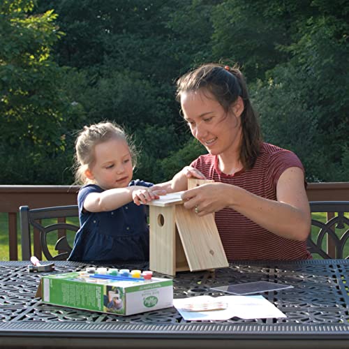 Nature's Way Bird Products DIY First Viewing Window Garden-Bird-House, Wood