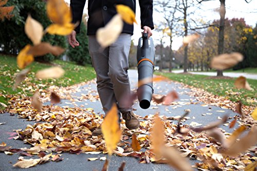 WEN Cordless Electric Leaf Blower, Brushless with 40V Max 2Ah Battery and Charger (40410), Black WEN