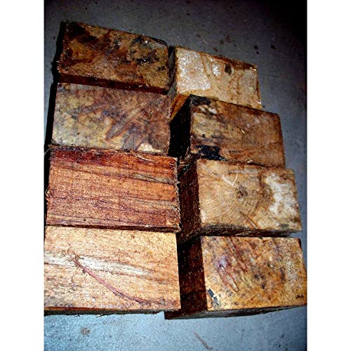 6 Pieces Ambrosia Maple Bowl Blanks Lathe Turning Blocks Wood 5" X 5" X 3" Generic