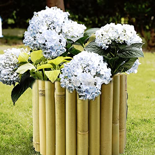 Jollybower 8x39IN Natural Bamboo Edging, Bamboo Garden Border Edging, Outdoor Landscape Edging for Decorative Garden, Patio Flower Garden Bed, Lawn, - WoodArtSupply