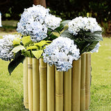 Jollybower 8x39IN Natural Bamboo Edging, Bamboo Garden Border Edging, Outdoor Landscape Edging for Decorative Garden, Patio Flower Garden Bed, Lawn, Jollybower