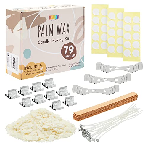 79 Piece Palm Wax Candle Making Kit, DIY Supplies with Iron Stands, Wood and Cotton Wicks, Centering Bars, Adhesive Stickers (2.5 lbs)