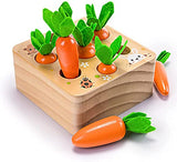 Ancaixin Montessori Toys for Babies 6-12 Months, Wooden Toys for 1 Year Old Boys and Girls, Educational Carrot Harvest Toy for Toddlers, Shape Ancaixin