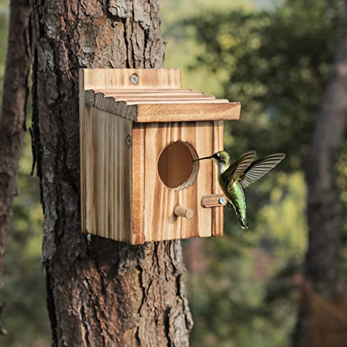 Humming Bird Houses for Outdoor Hanging Small Bird Nesting Box - Wood Nest for Robin, Hummingbird, Parakeet, Bluebird - Perch House for Outdoors NATUREYLWL