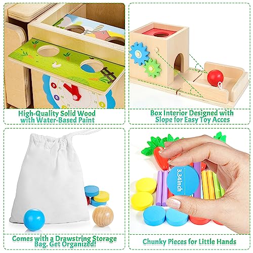 Kizfarm Wooden Montessori Baby Toys, 8-in-1 Wooden Play Kit Includes Object Permanent Box, Coin Box, Carrot Harvest, Shape Sorting & Stacking - Kizfarm